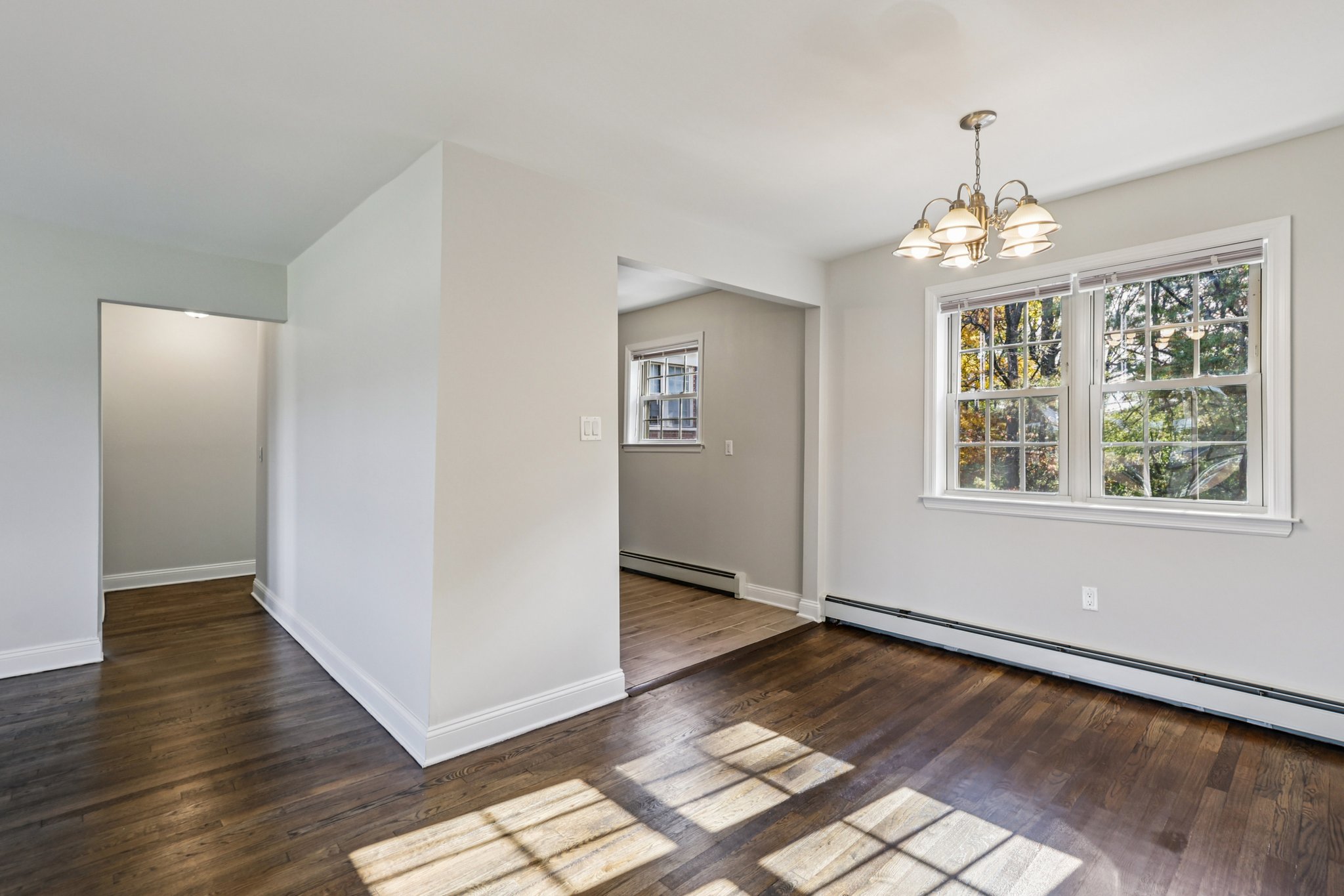 Gallery Photo 11